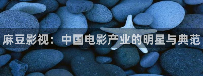 神马午夜电影福利