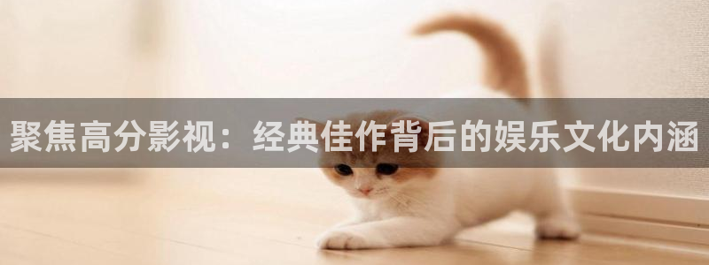 神马午夜影视大全