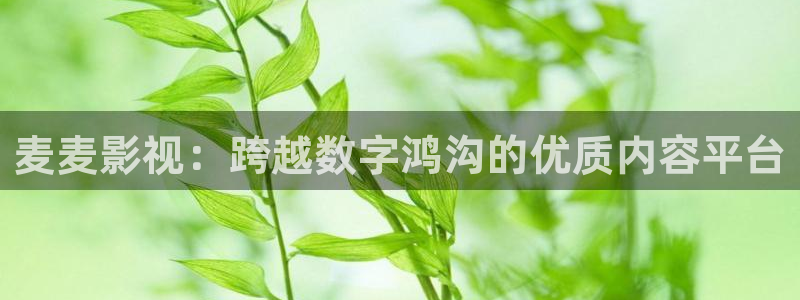 神马伦理影视