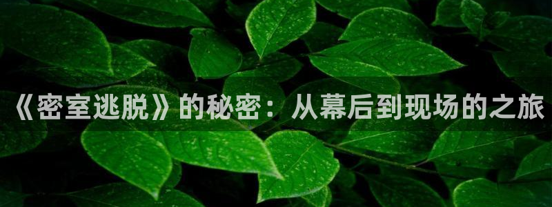 神马电影达