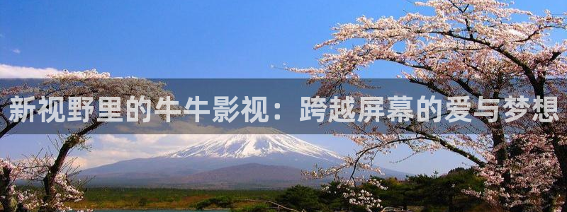 神马电影网pk电影天堂