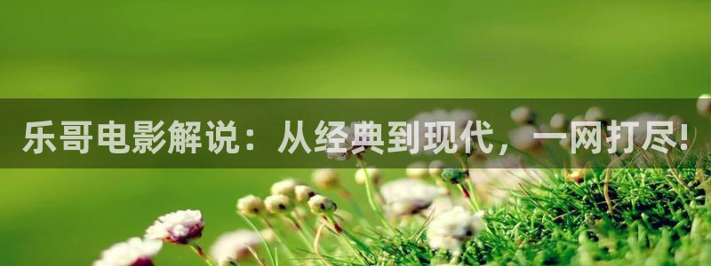 伦理片在线神马影院