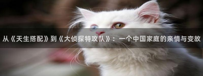 神马午夜手机电影网