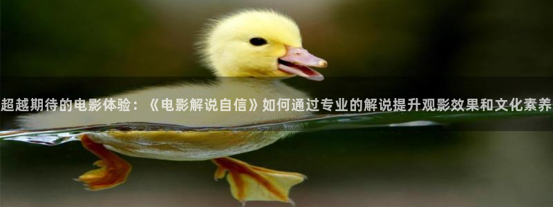 神马影院达达兔在线影视大全