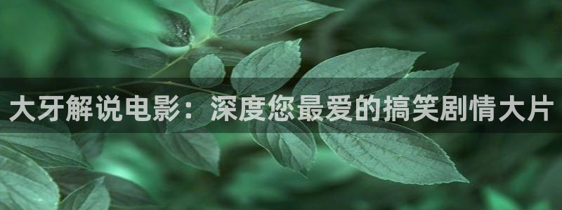 神马影院电视剧免费观看完