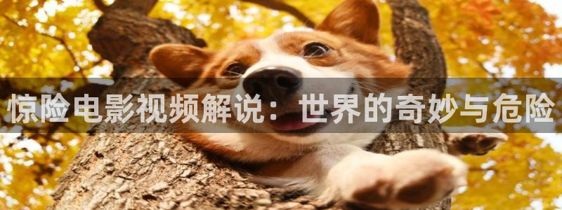 神马影院 上司