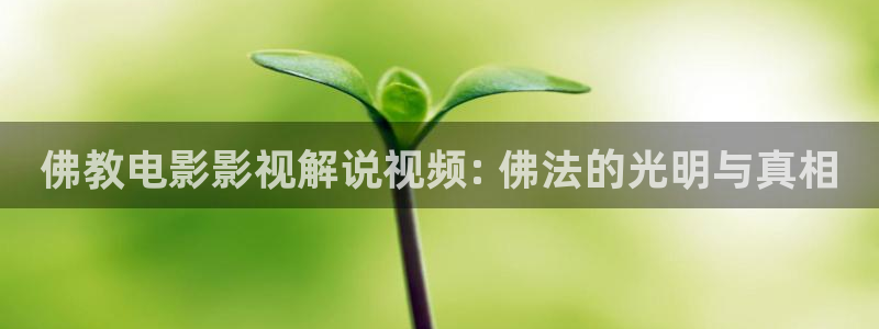 手机在线电影 神马