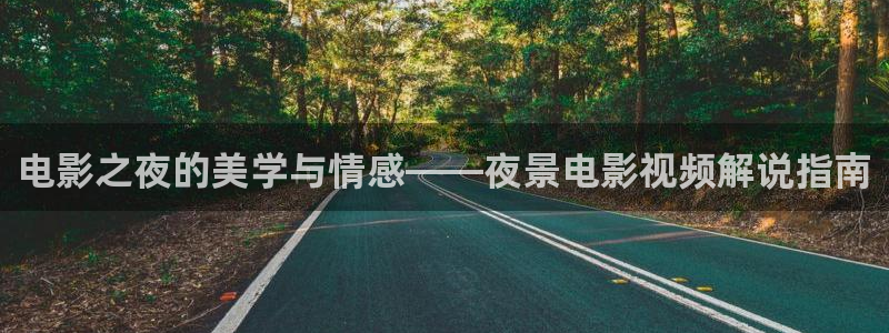 原神马免费电影：电影之夜的美学与情感——夜景电影视频解说指南