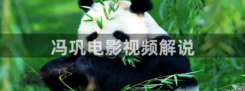 神马影院手机电影在线：冯巩电影视频解说