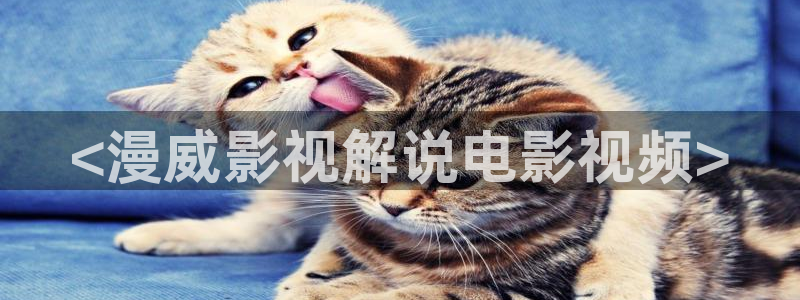 神马推理电影在线观看免费：<漫威影视解说电影视频>
