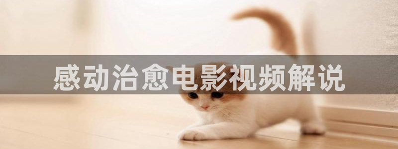 神马影视大全伦理：感动治愈电影视频解说