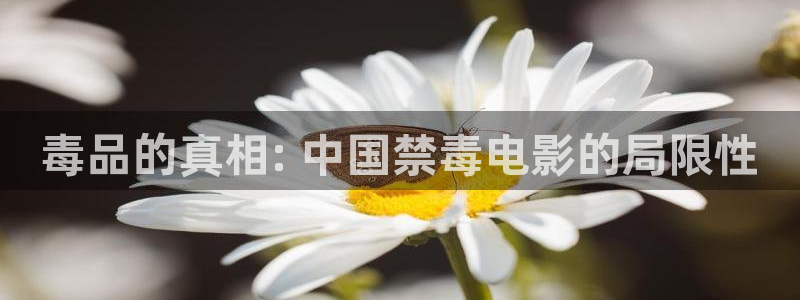 神马手机版影院：毒品的真相: 中国禁毒电影的局限性