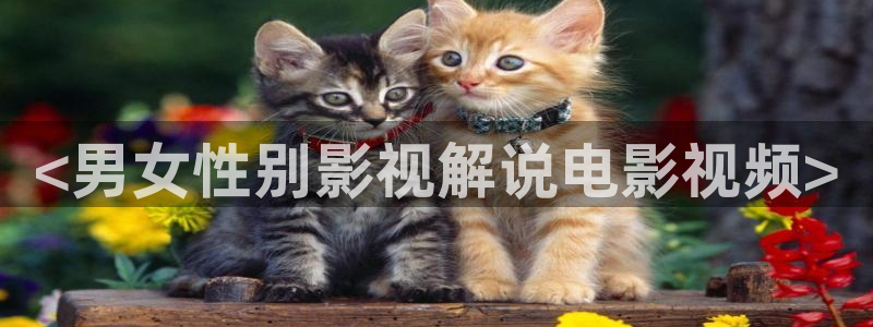 秋霞影视神马电影