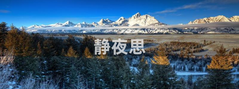 神马影院午夜我不卡：静夜思