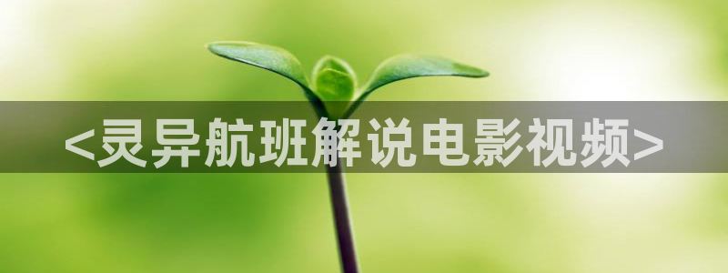 神马电影我不卡手机版：<灵异航班解说电影视频>