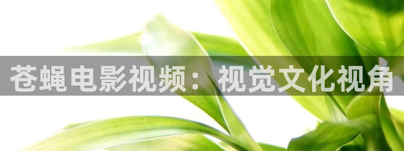 神马电影三级电影：苍蝇电影视频：视觉文化视角