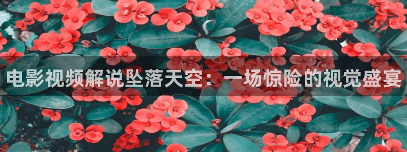 琪琪神马电影网：电影视频解说坠落天空：一场惊险的视觉盛宴
