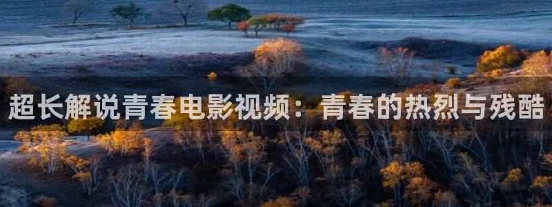 第九神马伦理影院：超长解说青春电影视频：青春的热烈与残酷
