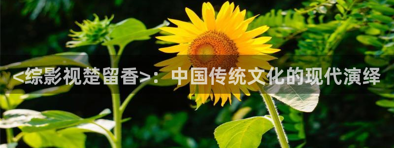 原神马福利影院：<综影视楚留香>：中国传统文化的现代演绎