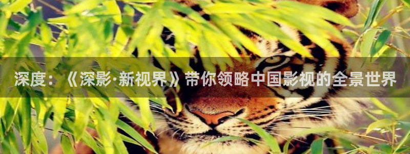 神马电影院免费在线观看：深度：《深影·新视界》带你领略中国影视的全景世界