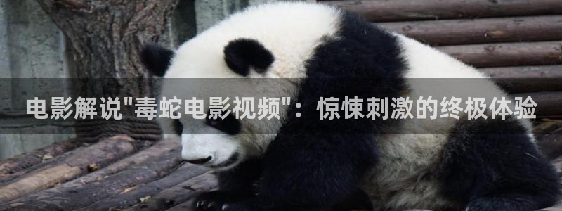 达达兔神马不卡影院88