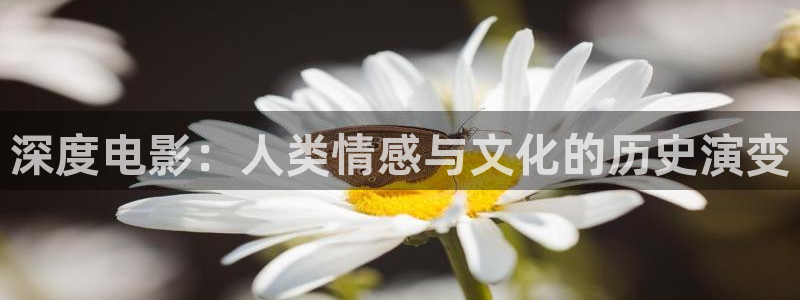 神马电视剧电影大全：深度电影：人类情感与文化的历史演变