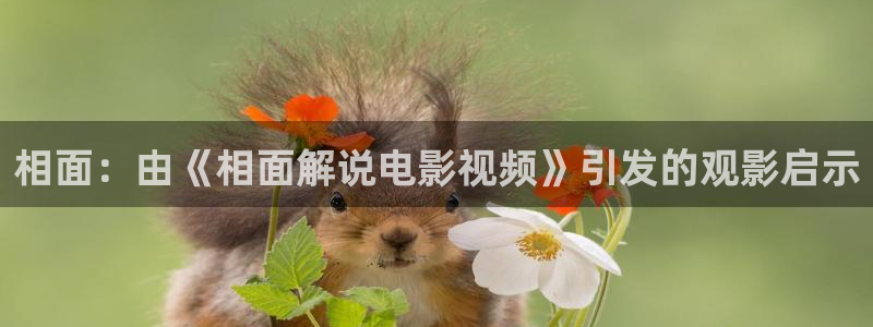 神马影院我不卡特片：相面：由《相面解说电影视频》引发的观影启示