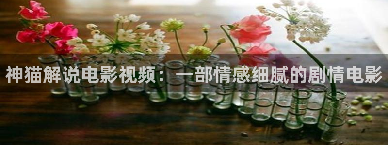天机神马影院：神猫解说电影视频：一部情感细腻的剧情电影