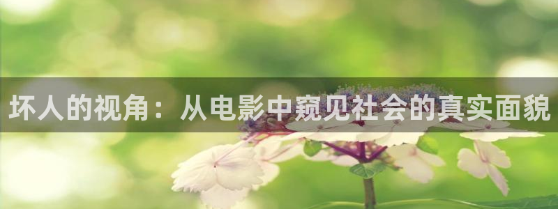 食物链神马影院：坏人的视角：从电影中窥见社会的真实面貌