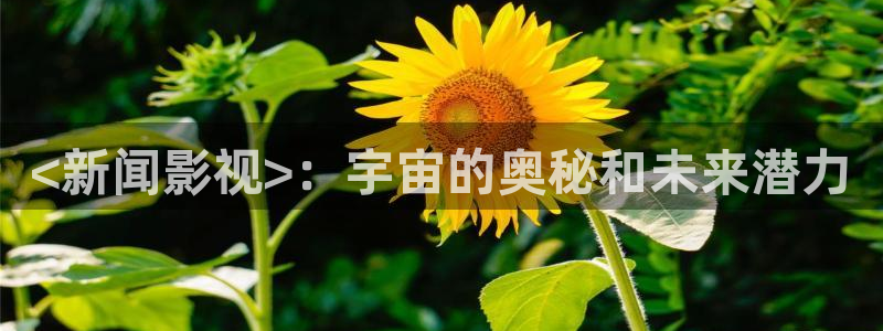 神马影院成人动漫