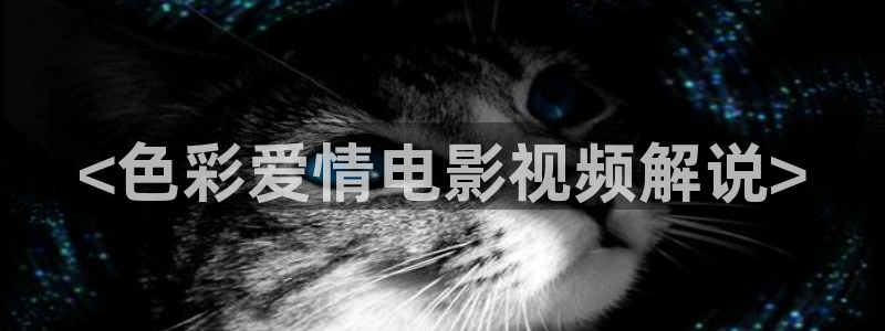 神马电影网伦理片