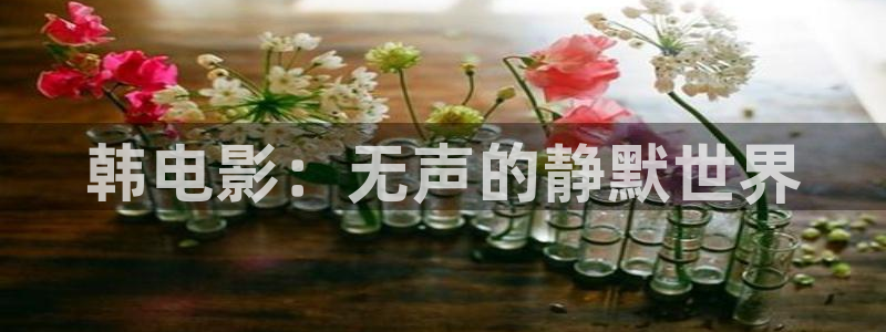神马影院我不卡秋：韩电影：无声的静默世界