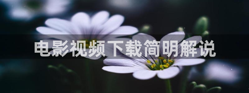 神马达达兔影院在线观看：电影视频下载简明解说