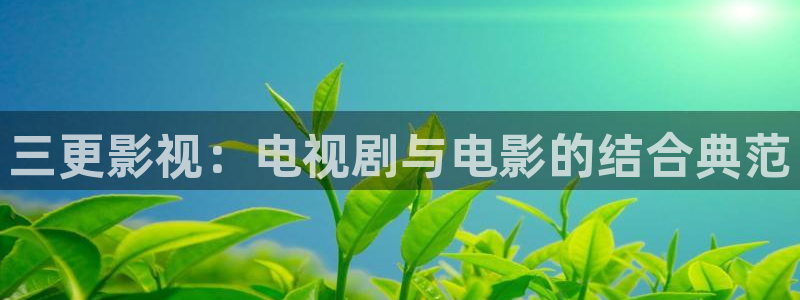 神马影院一路向西：三更影视：电视剧与电影的结合典范
