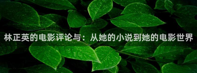 神马影院特片我不卡：林正英的电影评论与：从她的小说到她的电影世界