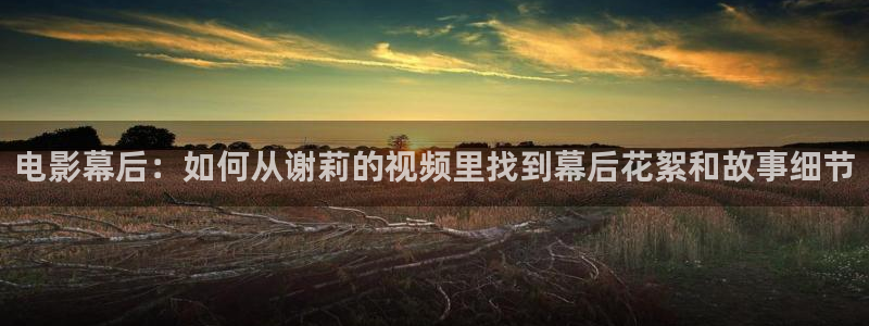 神马达达兔电影免费播放：电影幕后：如何从谢莉的视频里找到幕后花絮和故事细节
