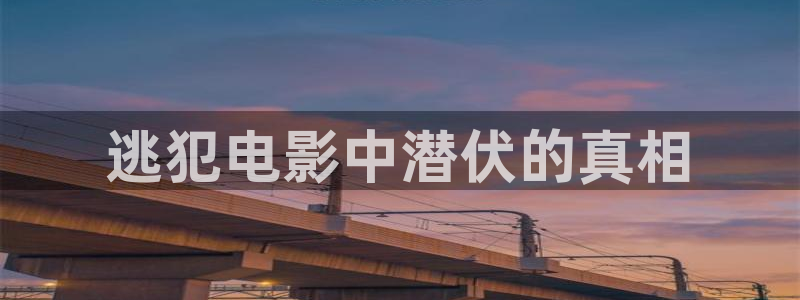 神马影院我不卡午夜激情：逃犯电影中潜伏的真相