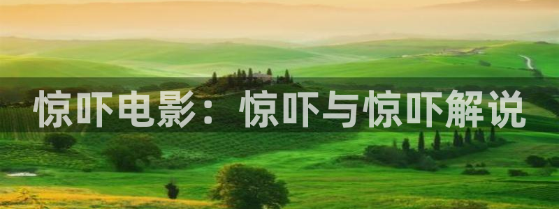 妈妈的朋友4在线观看神马影院：惊吓电影：惊吓与惊吓解说