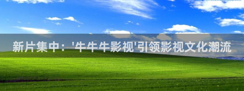 神马光棍影院在线观看：新片集中：\'牛牛牛影视\'引领影视文化潮流