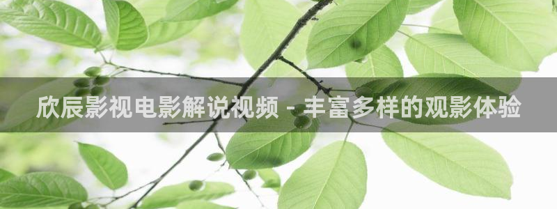 神马影视手机：欣辰影视电影解说视频 - 丰富多样的观影体验