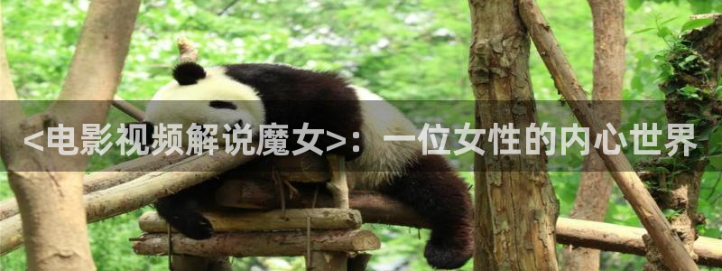 神马看看电影：<电影视频解说魔女>：一位女性的内心世界