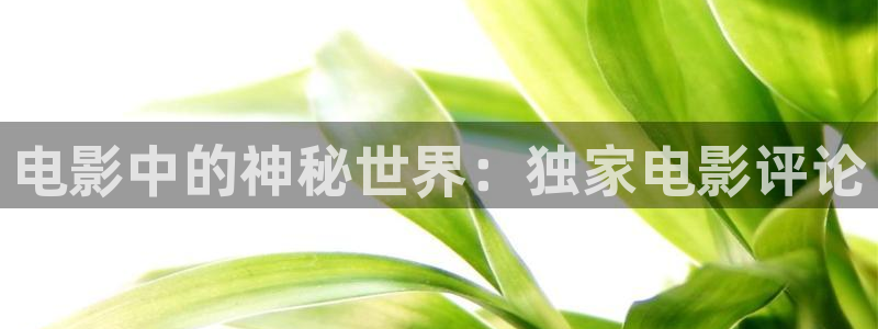 神马手机影院免费观看：电影中的神秘世界：独家电影评论