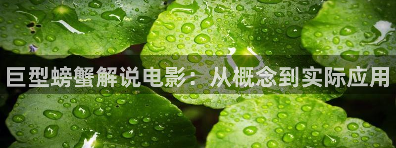 日本电影神马：巨型螃蟹解说电影：从概念到实际应用