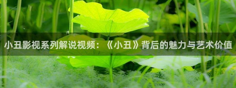 神马电影被窝网草民：小丑影视系列解说视频：《小丑》背后的魅力与艺术价值