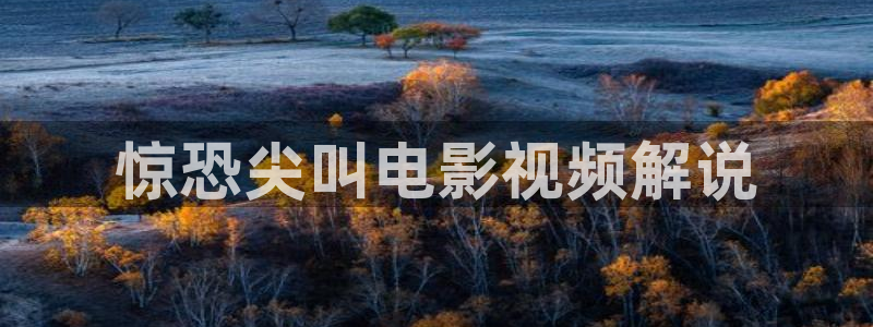 神马手机免费电影
