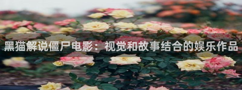叫神马影院手机在线观看：黑猫解说僵尸电影：视觉和故事结合的娱乐作品