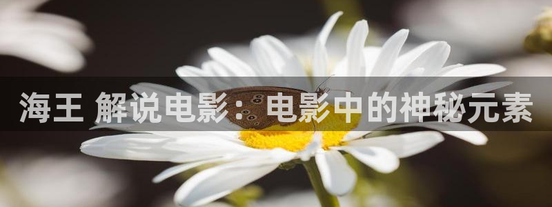 神马电影手机在线影院