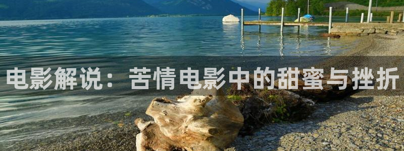 手机看片神马伦理：电影解说：苦情电影中的甜蜜与挫折