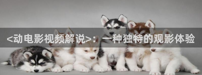 国语神马电影全集：<动电影视频解说>：一种独特的观影体验