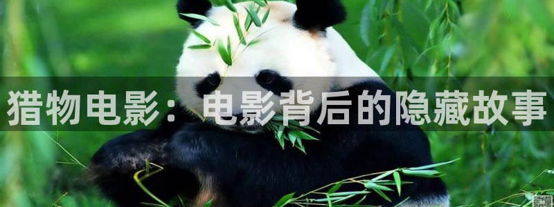 特级片神马电影：猎物电影：电影背后的隐藏故事